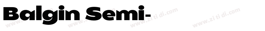 Balgin Semi字体转换 Balgin Semi字体转换